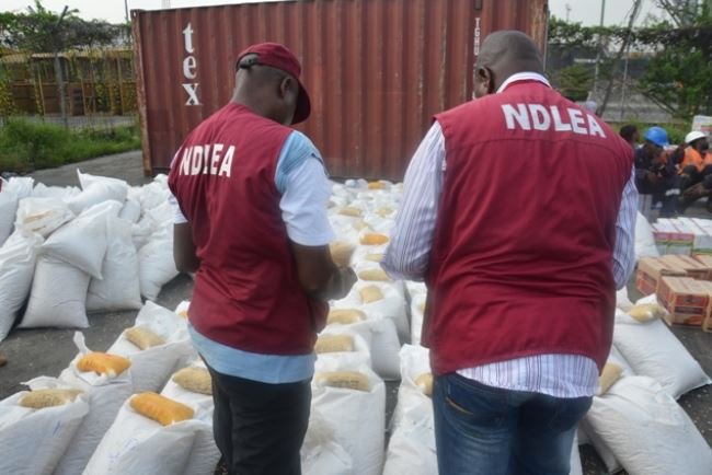 National Drug Law Enforcement Agency (NDLEA) officials parading some illicit drugs