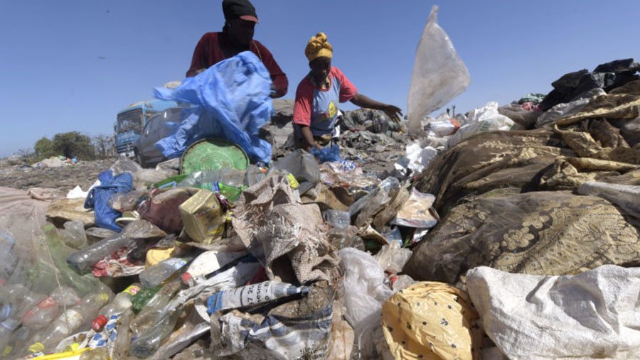 Plastic bags, site trash
