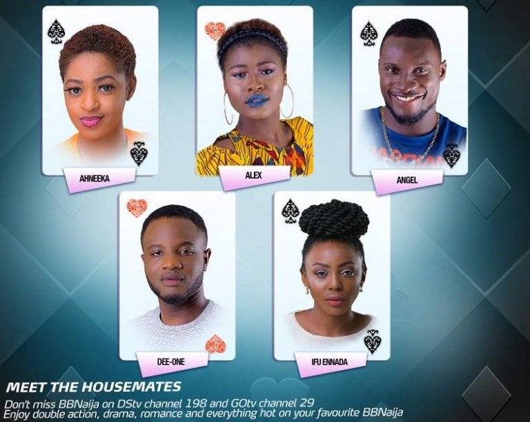 Double Wahala As Big Brother Naija Premieres On DStv, GOtv - Chronicle.ng