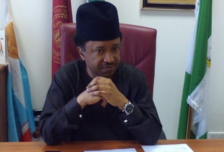 Senator Shehu Sani says Governor Nasir El-Rufai has no respect for President Buhari and the hierarchy of the APC