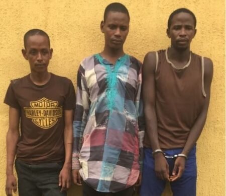 Kidnappers, killers of Dangote staff arrested