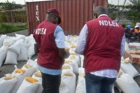 NDLEA nabs Canada-based nurse, two businessmen for drug trafficking