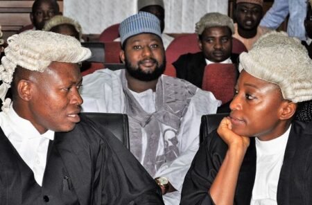 N1.2bn Fraud: Ex-Minister’s son get N100m bail