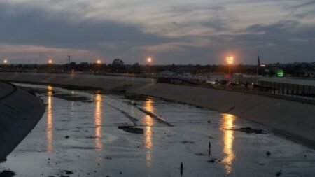 Mexican deported from US kills self