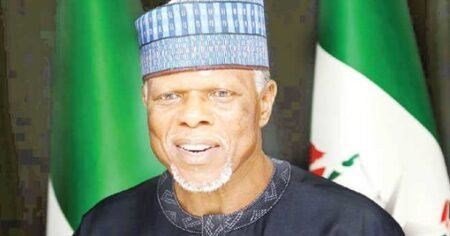 Senate orders Customs boss Hameed Ali arrested Customs boss Hameed Alli