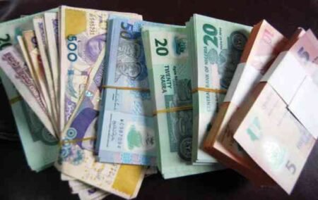 Naira rated worst performing currency in 2024