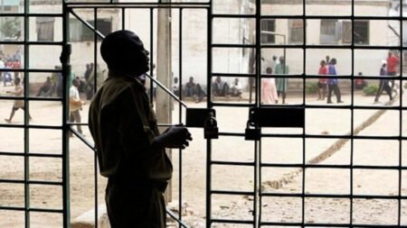 Inmates are dying in Nigerian prisons due to poor feeding, others - Investigative panel