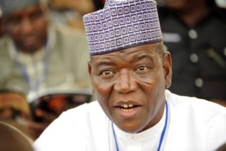 Buhari didn’t endorse Tinubu as president, never trusted Osinbajo – Sule Lamido