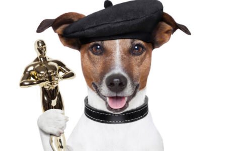 Dog wins award for stopping Boko Haram suicide bomber