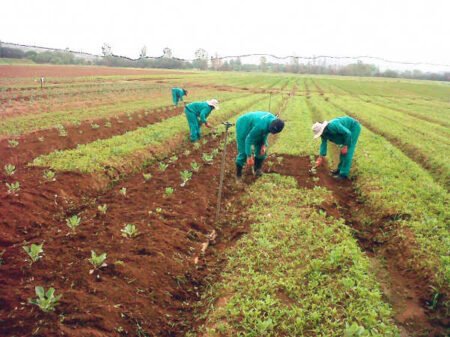 Tear gas and barricades were used to deter the farmers