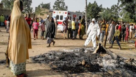 7 killed in another suicide bomb attack in Borno