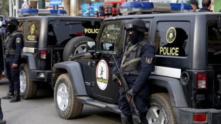 Hundreds of police officers and soldiers have been killed by jihadist militants since 2013 Cairo