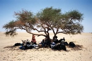 Desert landscape in northern Niger where 49 travellers died of thirst after their truck broke down in a remote Sahara region.