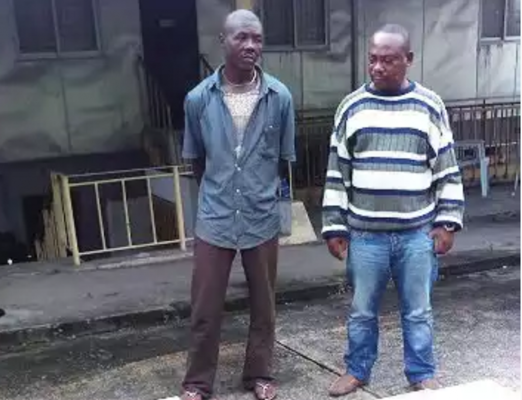 Alleged smugglers of snakes and other reptiles