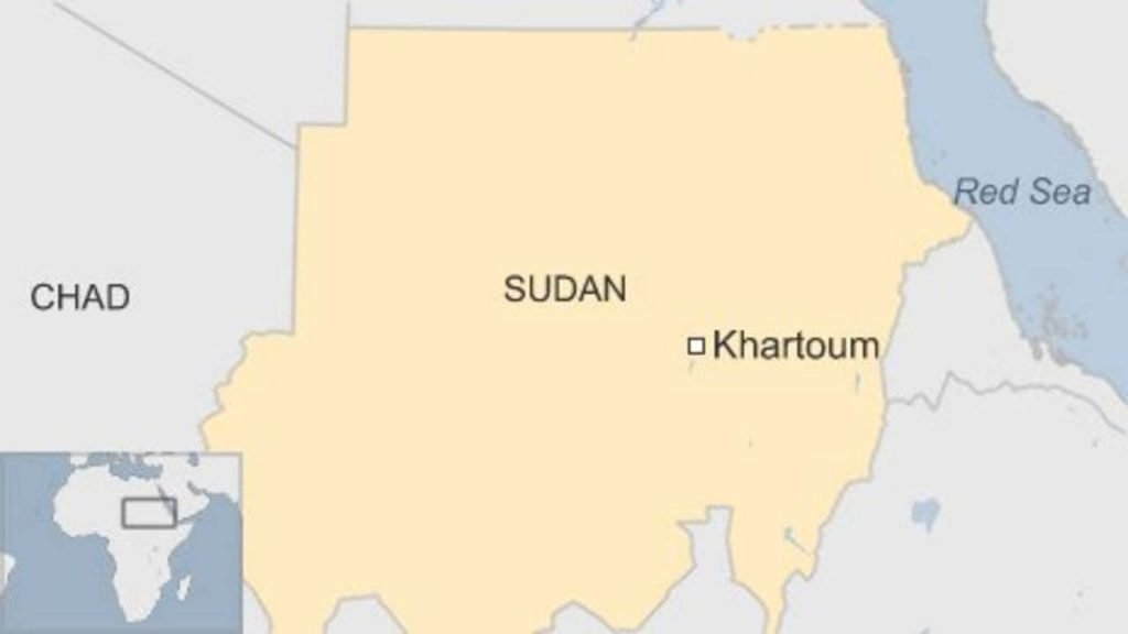 The World Health Organization reported on Monday that 114 people, including 63 children, were killed in "senseless" attacks on a hospital and kindergarten in Sudan's South Kordofan state last week.
