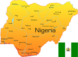 Why Nigeria’s LGAs lack websites despite autonomy, N3tn yearly funds Why Nigeria's LGAs lack websites despite autonomy, N3tn yearly funds