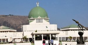 NASS committee approves new state for South-East NASS committee approves new state for South-East