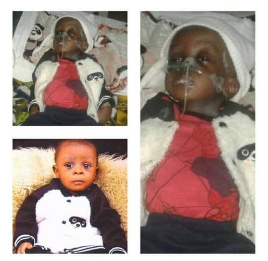 Daniel Animashaun needs N5 million for a heart surgery