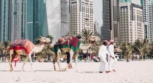 UAE lifts visa ban on Nigerians