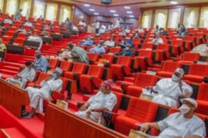 The Senate Committee on Diaspora and Non-Governmental Organisations has voiced alarm about the growing trend of Nigerians travelling abroad