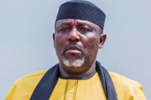 Court declares Okorocha winner of Imo West senate primary