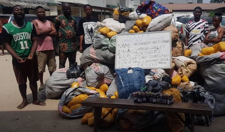 NDLEA Arrests Lagos Island Drug Kingpin, Recovers 5,862kg Drugs ...