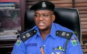 Edo Election: Police nab political thugs, recover firearms