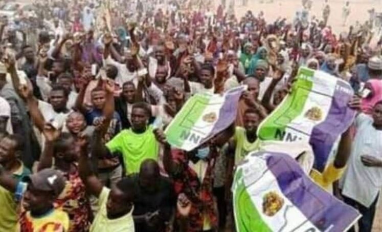 NNPP sweeps Kano local govt election