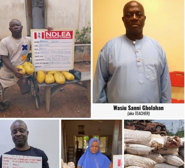 NDLEA arrests many people in possession of skunk across five states