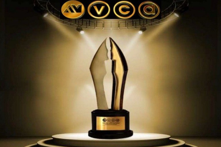 AMVCA award winners emerge