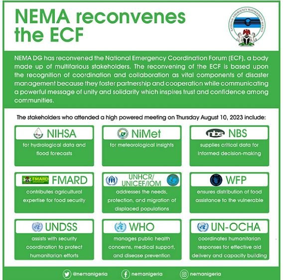 NEMA reconvenes the ECF