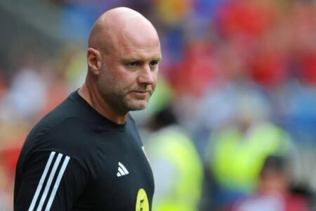 Wales sack Rob Page