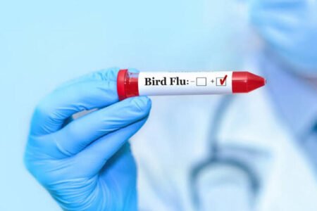 Man tests positive for bird flu