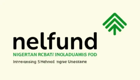 Student Loan: NELFUND disburses N2.5bn tuition fees for 22,120 students in 12 institutions