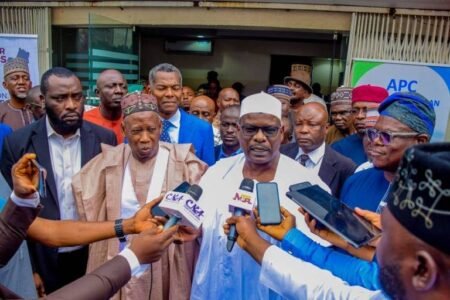 Ali Ndume apologises to APC over attacks on Tinubu