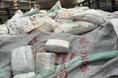 Customs seize 2,280 wraps of cannabis concealed in sawdust