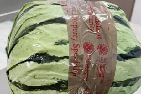 Customs seize fake watermelons