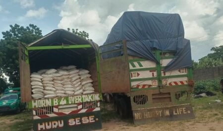 NDLEA seizes ₦2bn worth of Tramadol on Gombe-Bauchi Expressway