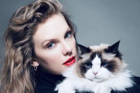 Taylor Swift posted a picture of herself and a cat in reference to JD Vance's Childless Cat Lady