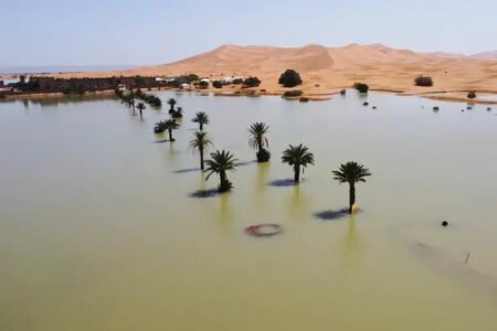 A rare rain in the Sahara Desert