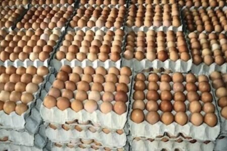 Stacks of egg crates displayed at a Nigerian poultry market amid rising food prices and economic hardship.