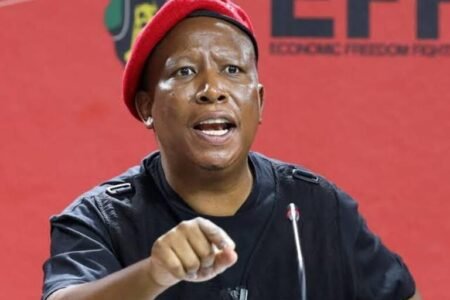 Economic Freedom Fighters (EFF) party leader Julius Malema