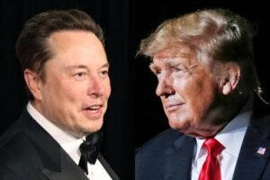 Musk wealth rises by $13bn after Trump’s win