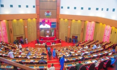 Senate advances bill mandating social media platforms, bloggers to establish offices in Nigeria