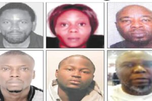 INTERPOL declares 14 Nigerians wanted over robbery, drug trafficking