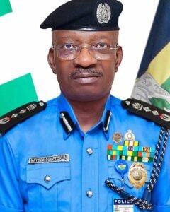 IGP Egbetokun decorates over 100 promoted officers in Delta