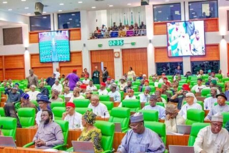 House of Reps in heated fight ahead of Rivers emergency rule debate