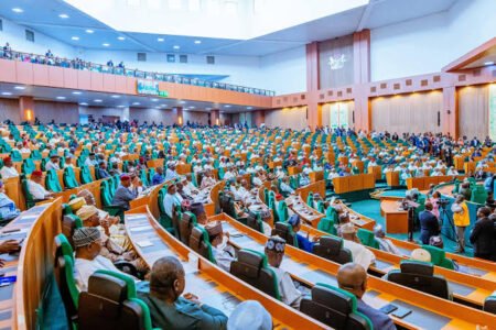 LReps approve Tinubu’s emergency rule in Rivers with voice vote