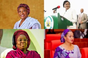 Female senatorial aspirants need at least N50bn to join Nigerian Senate — Ex-senator Ogunlewe