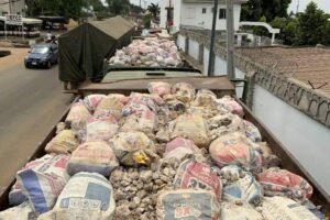 Solid minerals recovered by the EFCC in Nigeria